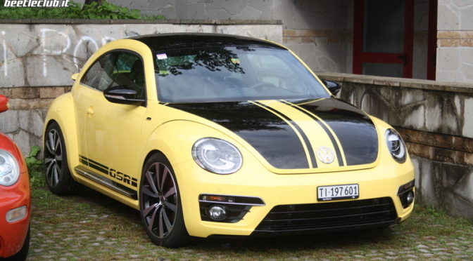 Colli Euganei (Pd)